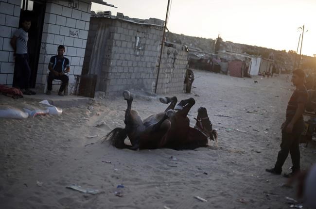 Gaza slum growth illustrates economic plight, bleak future | iNFOnews.ca Gaza slum growth illustrates economic plight, bleak future | iNFOnews.ca