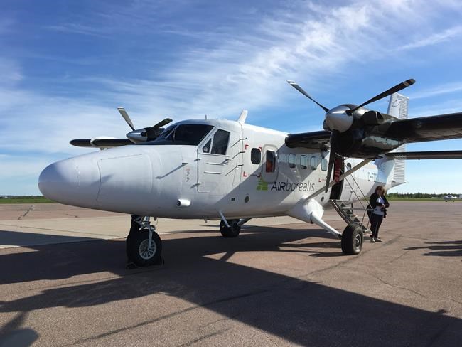 Federal officials take to sky in a different kind of East Coast whale hunt | iNFOnews.ca Federal officials take to sky in a different kind of East Coast whale hunt | iNFOnews.ca