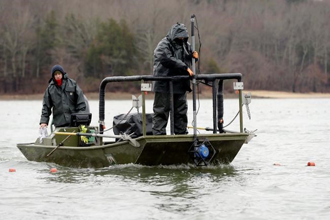 Asian carp roundup in Kentucky opens new front in battle | iNFOnews.ca