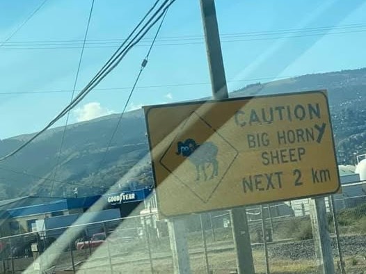 iN PHOTOS: Hilarious signs spotted on roads in Thompson-Okanagan | iNwheels iN PHOTOS: Hilarious signs spotted on roads in Thompson-Okanagan | iNwheels