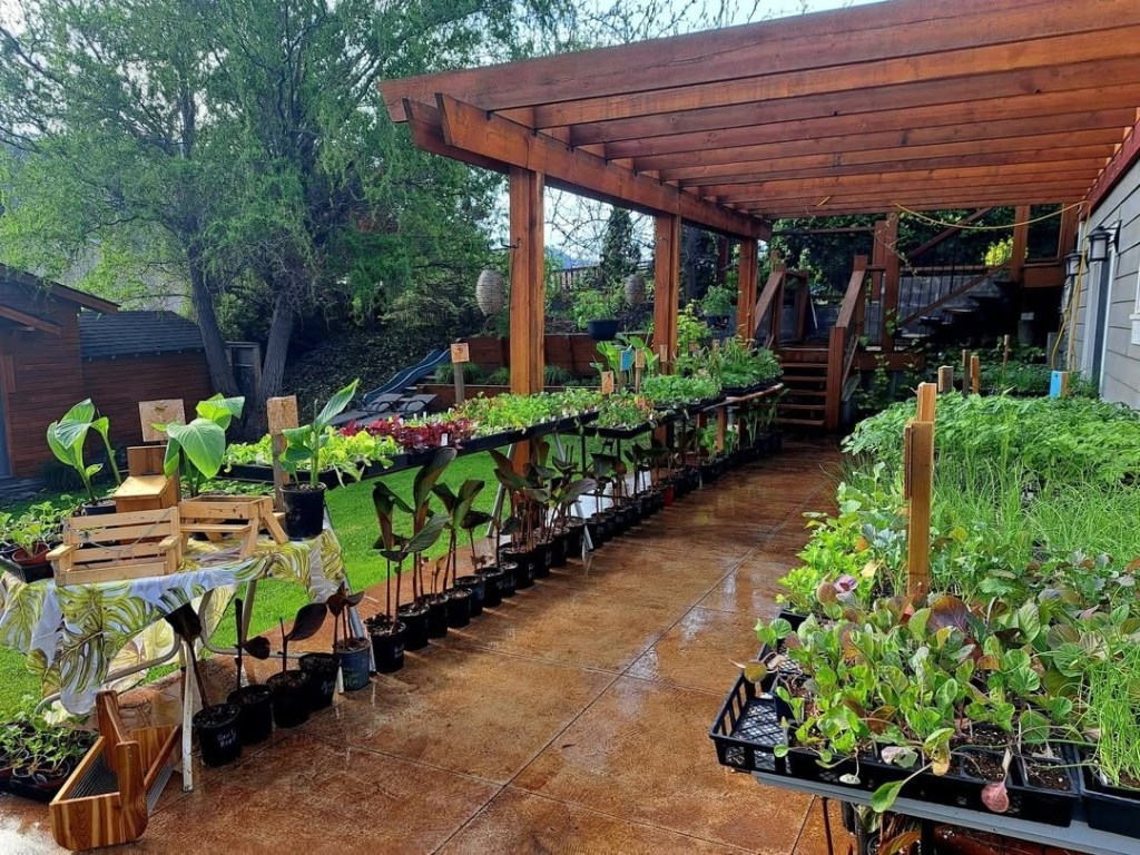 iN PHOTOS: Gardeners create beautiful backyard oases in Kamloops, Okanagan | iNhome iN PHOTOS: Gardeners create beautiful backyard oases in Kamloops, Okanagan | iNhome