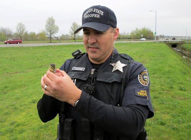 Oregon State Police help rescue 2 ducklings from storm drain | iNFOnews.ca Oregon State Police help rescue 2 ducklings from storm drain | iNFOnews.ca