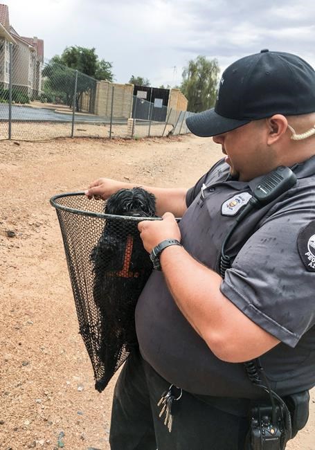 The Latest: Phoenix area kept under flood warning | iNFOnews.ca The Latest: Phoenix area kept under flood warning | iNFOnews.ca