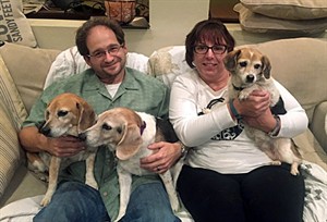 4,400 people file adoption papers for dogs seen on first ever Fox Dog-A-Thon for rescue dogs | iNFOnews.ca CP31183430