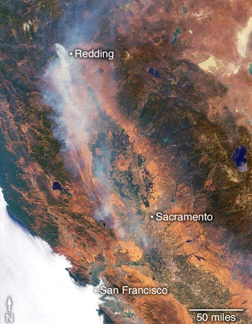 The Latest: Northern California fire victim identified | iNFOnews.ca