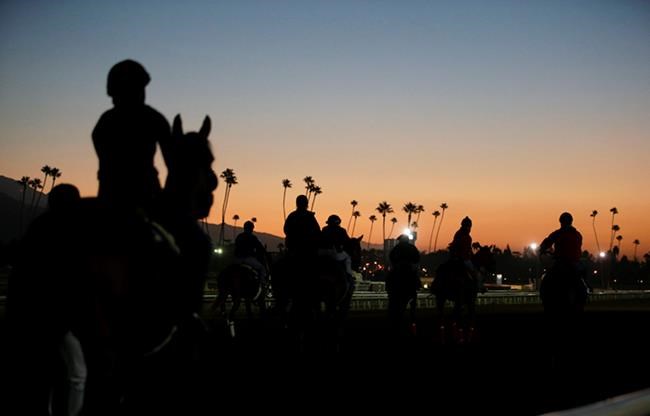 Official: Santa Anita cancels racing after 21 horse deaths | iNFOnews.ca Official: Santa Anita cancels racing after 21 horse deaths | iNFOnews.ca