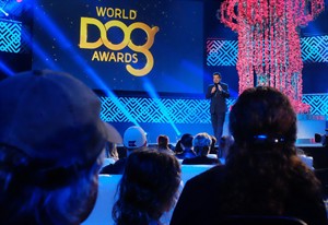 'Paw-paparazzi' take note: Awards show honouring celebrity dogs joins Hollywood's human mix | iNFOnews.ca CP31472507
