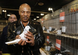 No 'rats with wings' here: Pigeon pageant celebrates hundreds of bird breeds, longtime hobby | iNFOnews.ca CP31759890