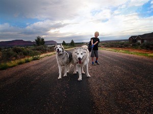 CP29659507
