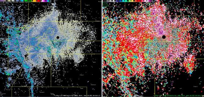 Massive wave of butterflies lights up Denver weather radar | iNFOnews.ca Massive wave of butterflies lights up Denver weather radar | iNFOnews.ca