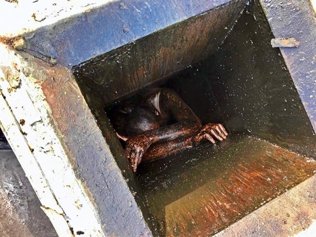 Crews rescue man stuck in grease vent of empty restaurant | iNFOnews.ca