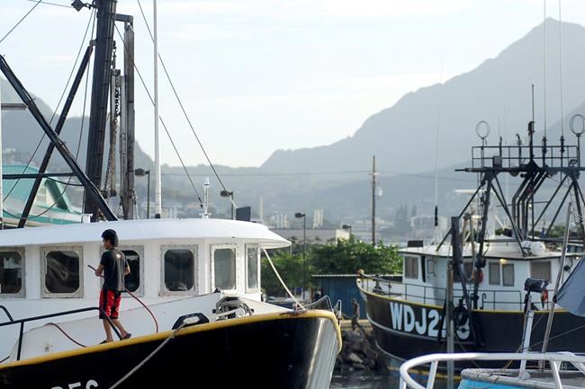 Hawaii bill targeting commercial fishing industry dies | iNFOnews.ca