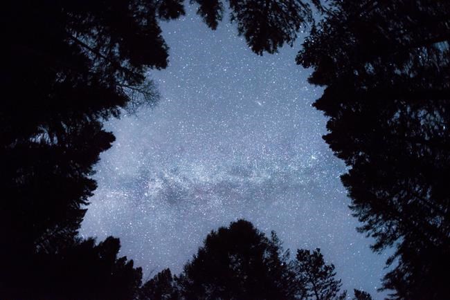 Idaho hopes to bring stargazers to first US dark sky reserve | iNFOnews.ca
