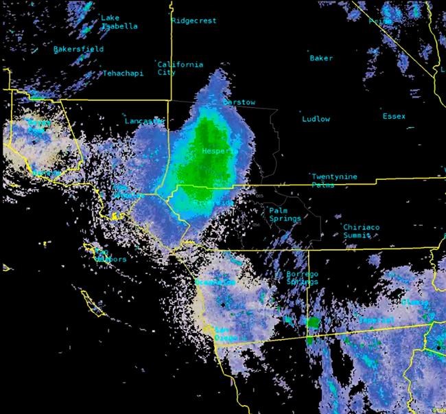 Massive ladybug swarm over California shows up on radar | iNFOnews.ca Massive ladybug swarm over California shows up on radar | iNFOnews.ca