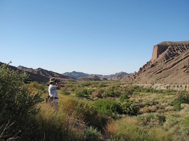 'BioBlitz' scientists to survey California desert valley | iNFOnews.ca