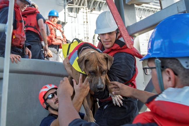 Emergency plan, food, gear vital for long-distance sailing | iNFOnews.ca