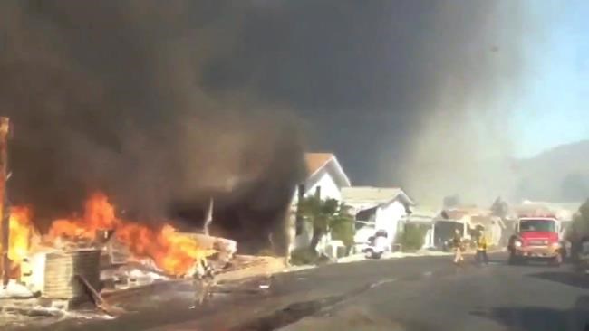 Elite thoroughbred race horses killed in California wildfire | iNFOnews.ca