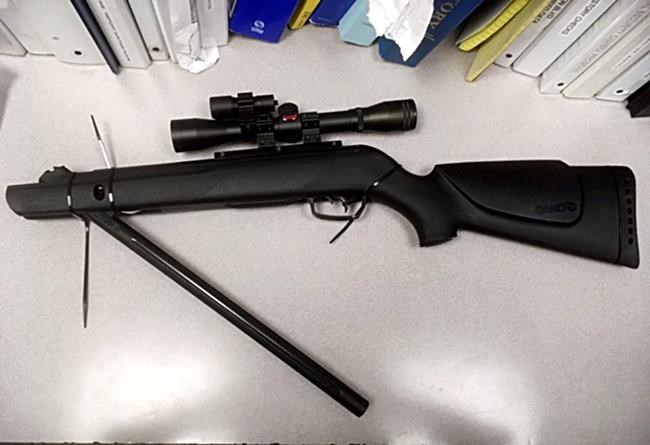 Deer killed in tony California neighbourhood, neighbours upset | iNFOnews.ca