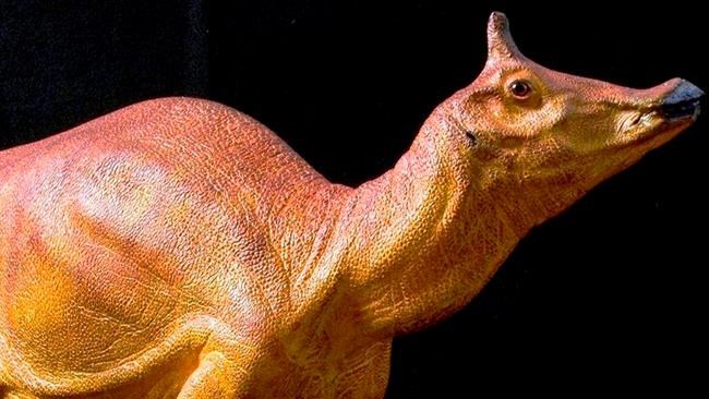 After 66 million years, creature wins state dinosaur honour | iNFOnews.ca After 66 million years, creature wins state dinosaur honour | iNFOnews.ca