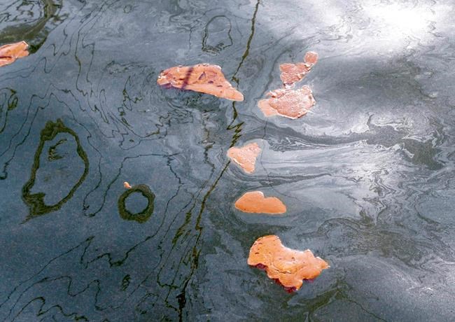 Lawsuit: EPA has dragged feet on oil spill dispersant rules | iNFOnews.ca Lawsuit: EPA has dragged feet on oil spill dispersant rules | iNFOnews.ca