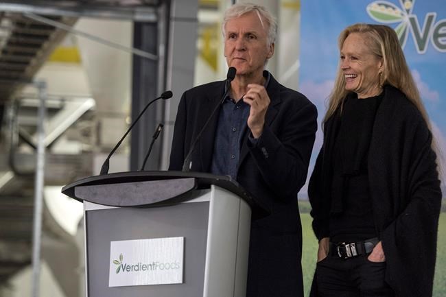 Eat less meat: Hollywood's James Cameron invests in Saskatchewan pea plant | iNFOnews.ca