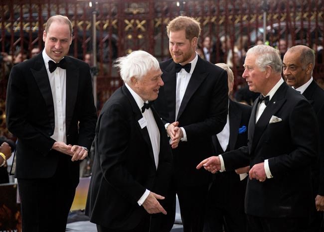 Charles, William, Harry: 3 princes help launch 'Our Planet' | iNFOnews.ca