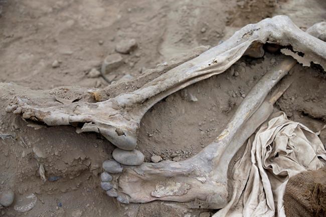 Peru discovers in pre-Incan site tomb of 16 Chinese migrants | iNFOnews.ca