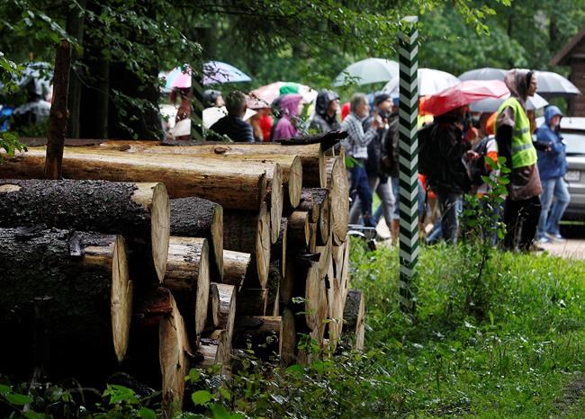 Polish court acquits protesters of logging in old forest | iNFOnews.ca