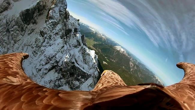 Soaring eagle films crumbling Alpine glaciers as Earth warms | iNFOnews.ca Soaring eagle films crumbling Alpine glaciers as Earth warms | iNFOnews.ca
