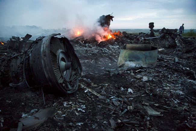 Malaysia: 'No proof' of Russian involvement in MH17 downing | iNFOnews.ca