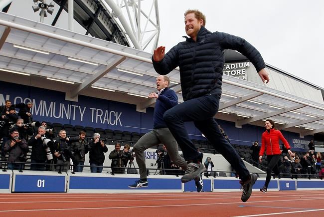Prince Harry: No one in royal family wants to rise to throne | iNFOnews.ca Prince Harry: No one in royal family wants to rise to throne | iNFOnews.ca