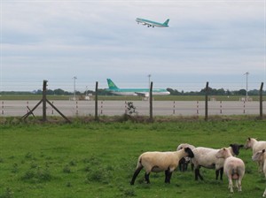 Aer Lingus confirms new takeover bid by British Airways parent IAG, considers improved offer | iNFOnews.ca CP31629833