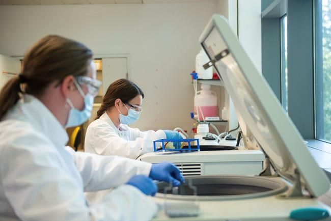 3rd major COVID-19 vaccine shown to be effective and cheaper | iNFOnews.ca