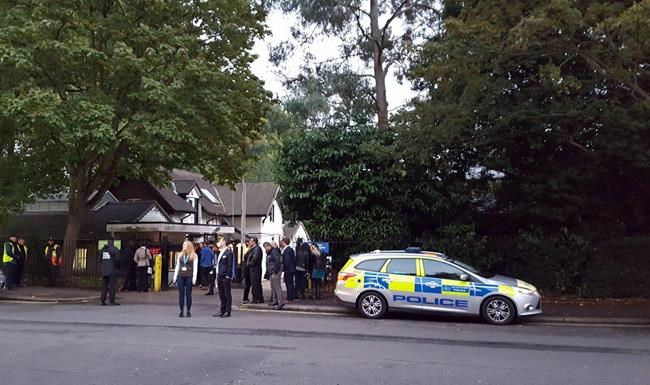 Police: Escaped gorilla incident at London zoo 'concluded' | iNFOnews.ca