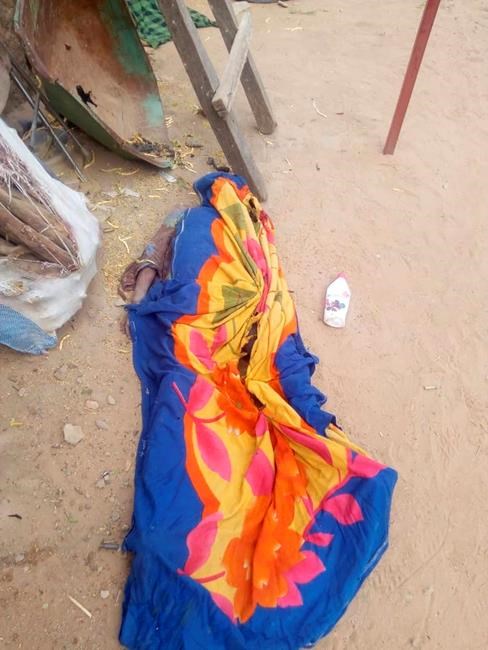 Death toll from central Mali massacre up to 134, says UN | iNFOnews.ca