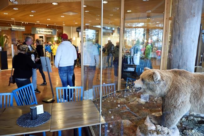 Worker at Swedish animal park dies after bear mauling | iNFOnews.ca