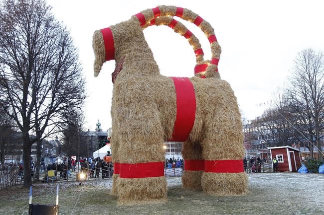 Swedish Christmas goat burns on 50th anniversary | iNFOnews.ca