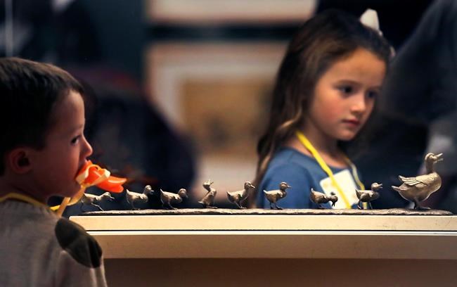 Museum celebrates Boston's favourite ducks with new exhibit | iNFOnews.ca