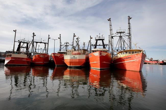 Winds of worry: US fishermen fear forests of power turbines | iNFOnews.ca Winds of worry: US fishermen fear forests of power turbines | iNFOnews.ca