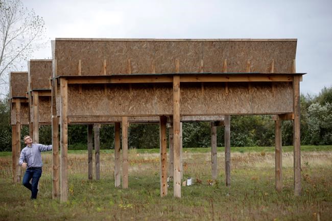Cranberry farmers want to build solar panels over their bogs | iNFOnews.ca