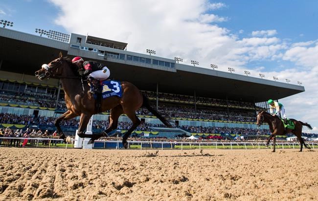 Holy Helena easily captures $1-million Queen's Plate at Woodbine Racetrack | iNFOnews.ca