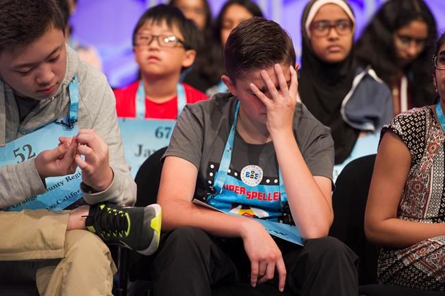 Only 1 in 10 will advance at National Spelling Bee | iNFOnews.ca Only 1 in 10 will advance at National Spelling Bee | iNFOnews.ca