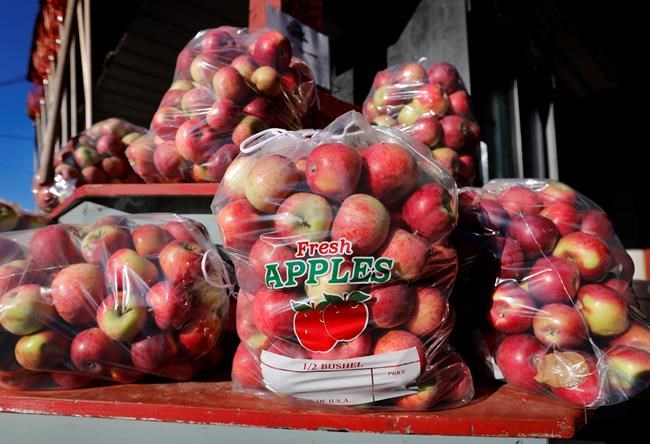 A few bad apples, but mostly good ones in New England's crop | iNFOnews.ca