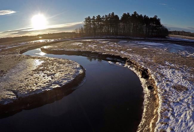 As sea levels rise, vital salt marshes are disappearing | iNFOnews.ca As sea levels rise, vital salt marshes are disappearing | iNFOnews.ca