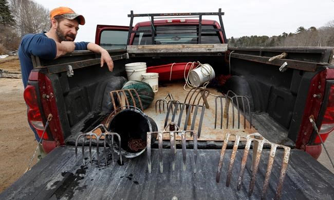 Abating bait: Decline in prized worms threatens way of life | iNFOnews.ca