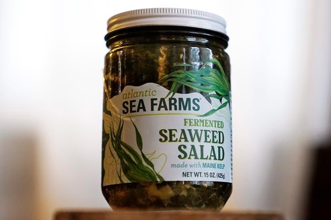 Seaweed industry stays afloat, seeks growth during pandemic | iNFOnews.ca Seaweed industry stays afloat, seeks growth during pandemic | iNFOnews.ca