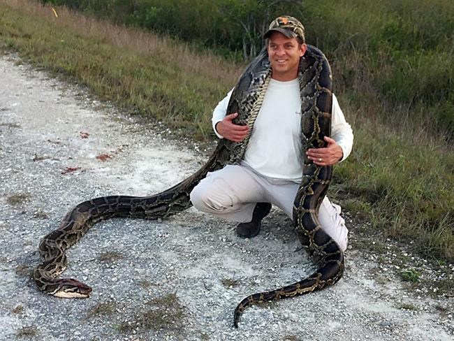 Florida's lt. governor heads into Everglades to hunt pythons | iNFOnews.ca