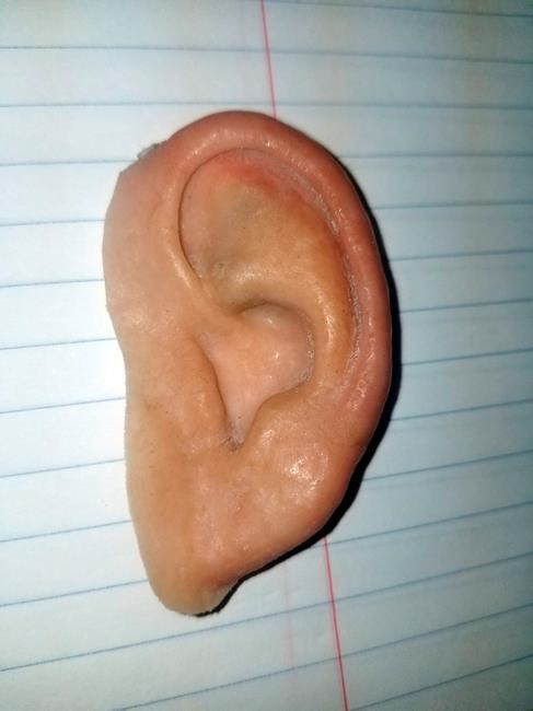 Florida police find prosthetic ear owner after Facebook post | iNFOnews.ca