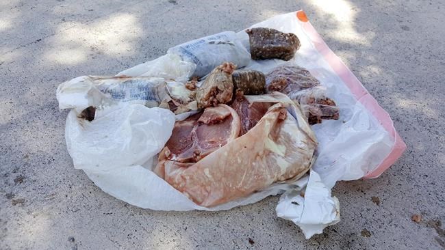 A weird Florida mystery: Frozen pork falling from the sky | iNFOnews.ca
