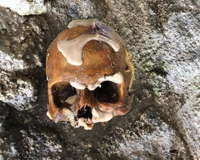 Instead of lobster, Florida fishermen find human bones | iNFOnews.ca